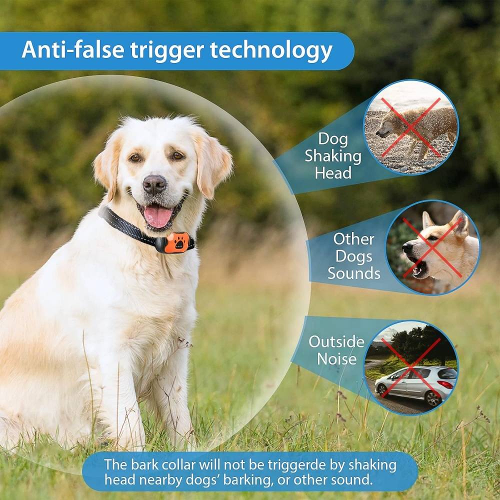 IntiMeg - Collier anti-aboiement pour chien, 7 niveaux de sensibilité, rechargeable, étanche, IntiMeg - Imagen 5