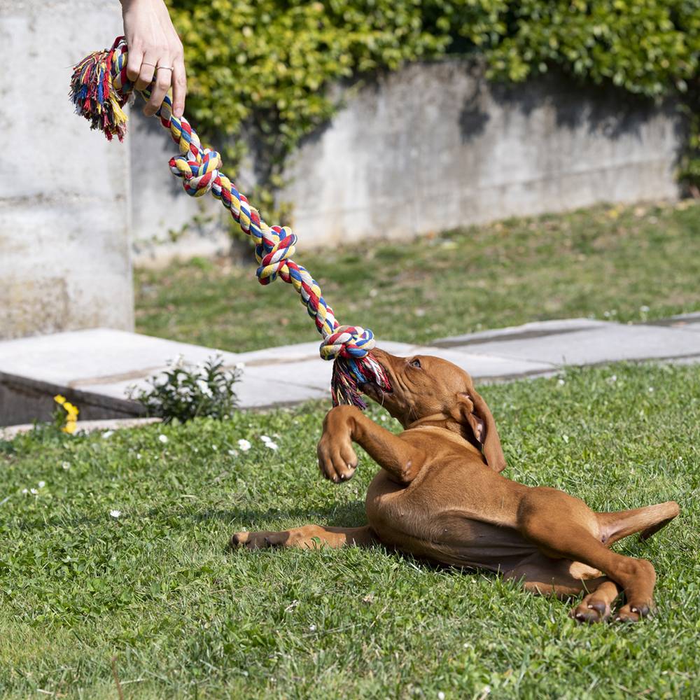 Ferplast - Ferplast Jouet chiens chien dentaire PA 6524 corde coton tressé à tirage - Imagen 2
