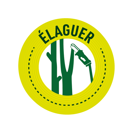 Tronconneuse A Batterie + Perche | Mini Tronconneuse A Batterie | Tronconneuse | Tronconneuse Sans Fil | Coupe Branches | Outil Jardinage - VENTEO - Image 10