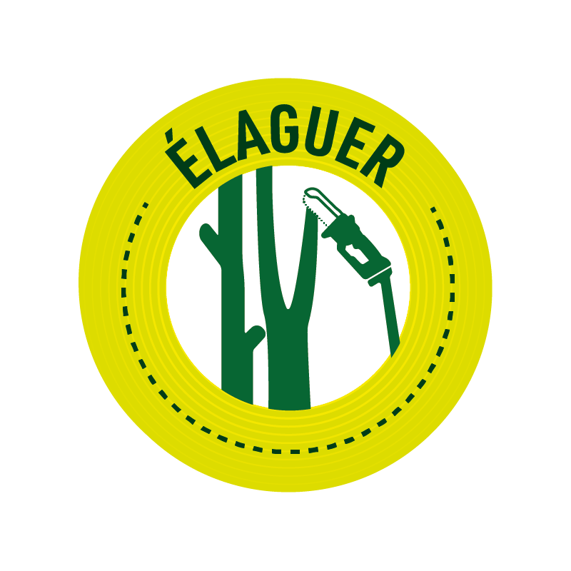 Tronconneuse A Batterie + Perche | Mini Tronconneuse A Batterie | Tronconneuse | Tronconneuse Sans Fil | Coupe Branches | Outil Jardinage - VENTEO - Image 10