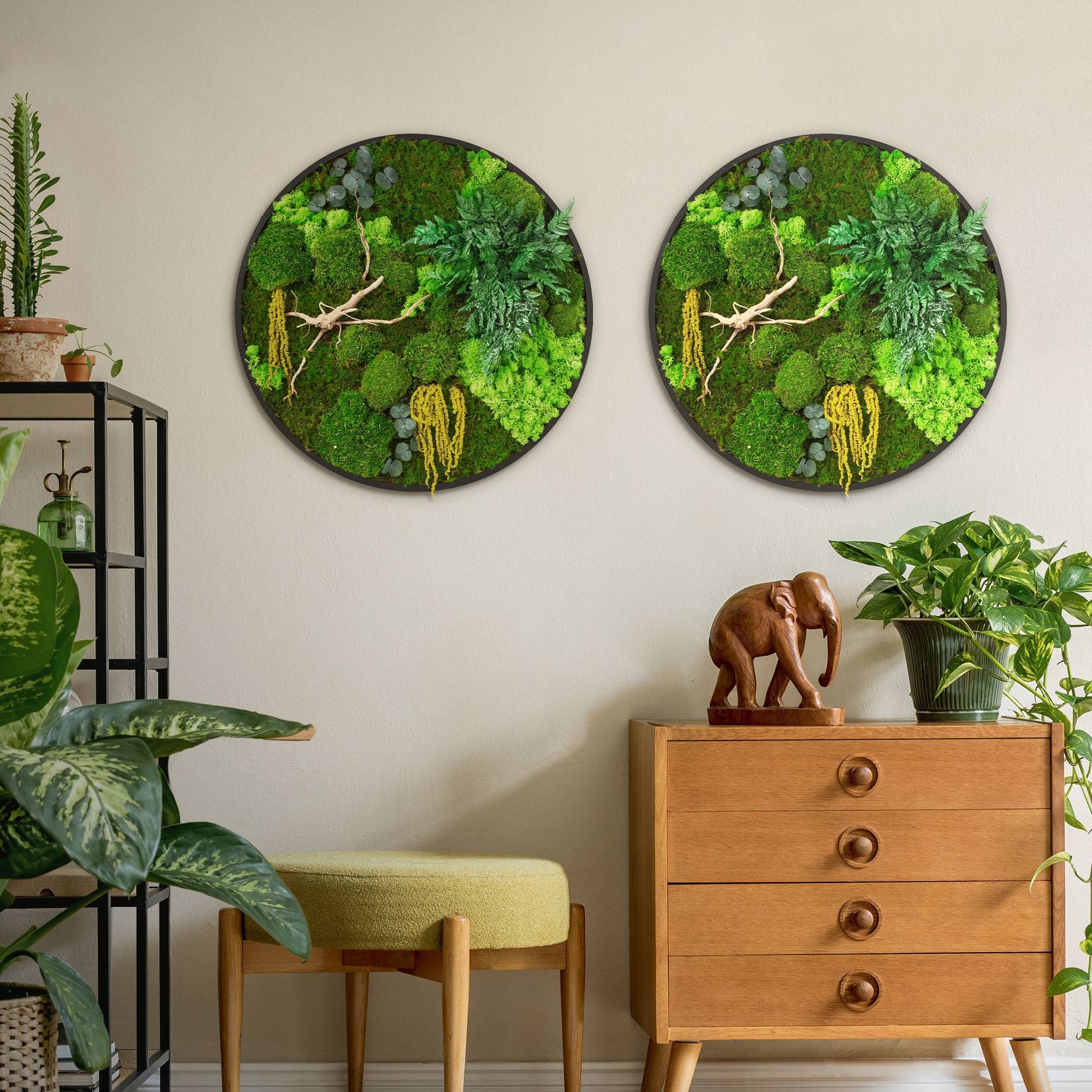 Ecd-Germany - Tableau végétal mural stabilisé, Ø 60 cm, mélange de mousses avec eucalyptus, fougères et bois naturel, effet 3D, décoration d'intérieur, style jungle - Image 9