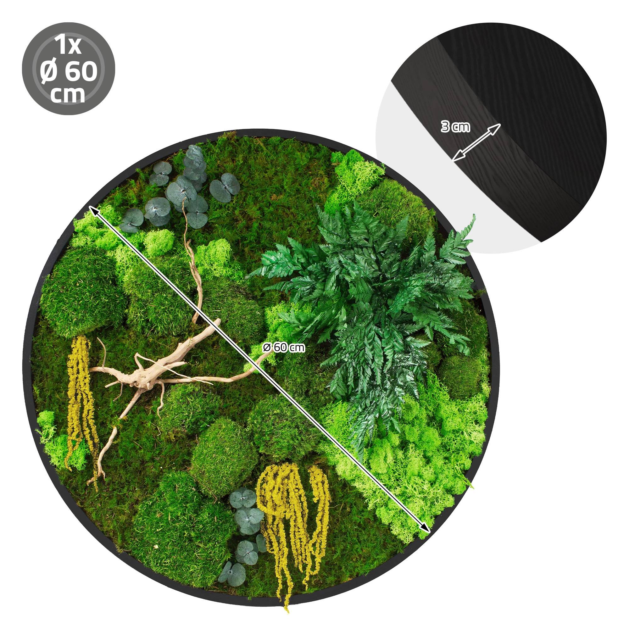 Ecd-Germany - Tableau végétal mural stabilisé, Ø 60 cm, mélange de mousses avec eucalyptus, fougères et bois naturel, effet 3D, décoration d'intérieur, style jungle - Image 8