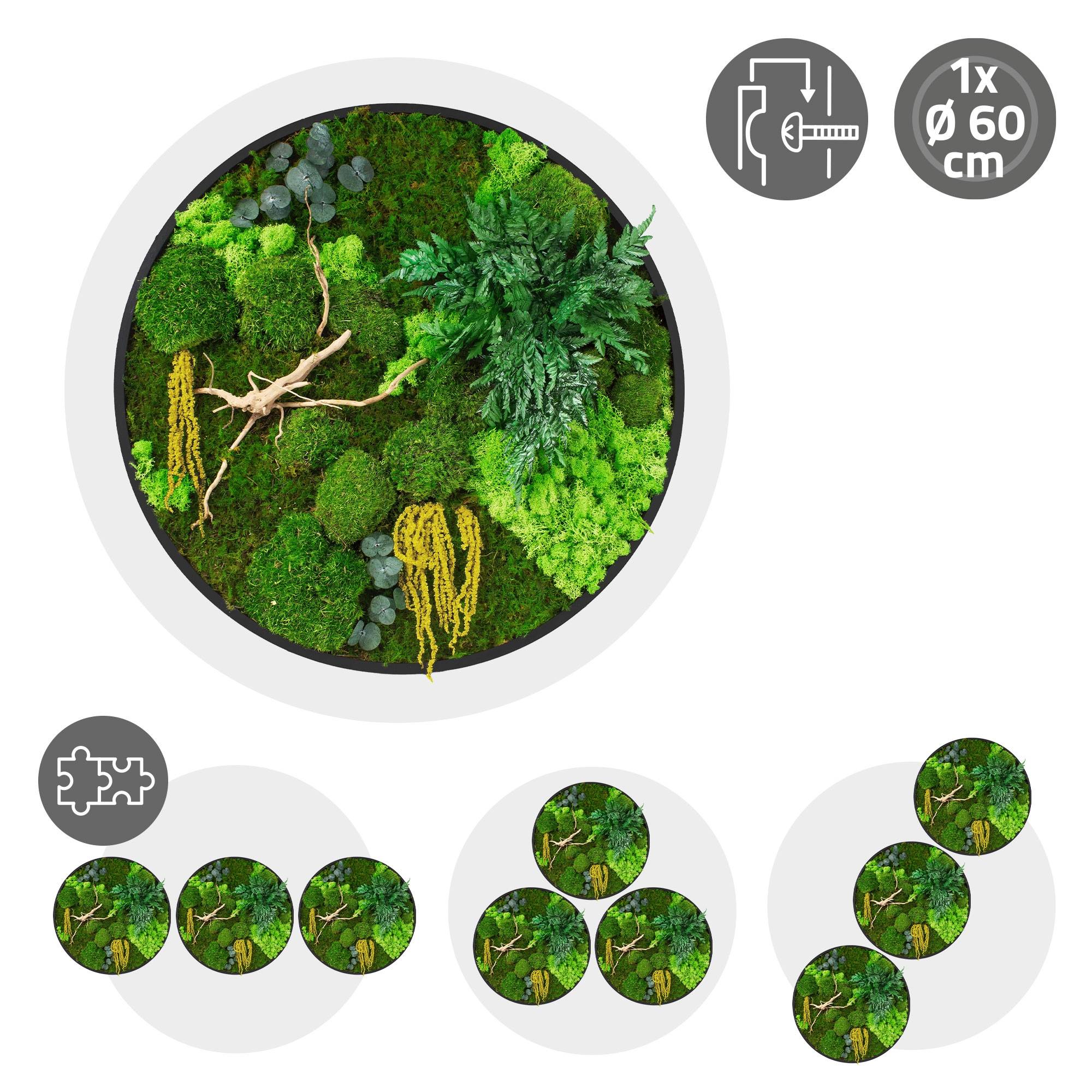 Ecd-Germany - Tableau végétal mural stabilisé, Ø 60 cm, mélange de mousses avec eucalyptus, fougères et bois naturel, effet 3D, décoration d'intérieur, style jungle - Image 10