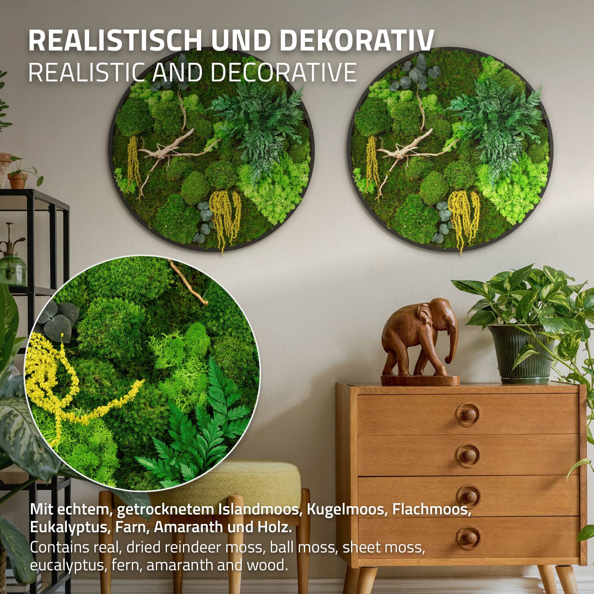Ecd-Germany - Tableau végétal mural stabilisé, Ø 60 cm, mélange de mousses avec eucalyptus, fougères et bois naturel, effet 3D, décoration d'intérieur, style jungle - Image 3