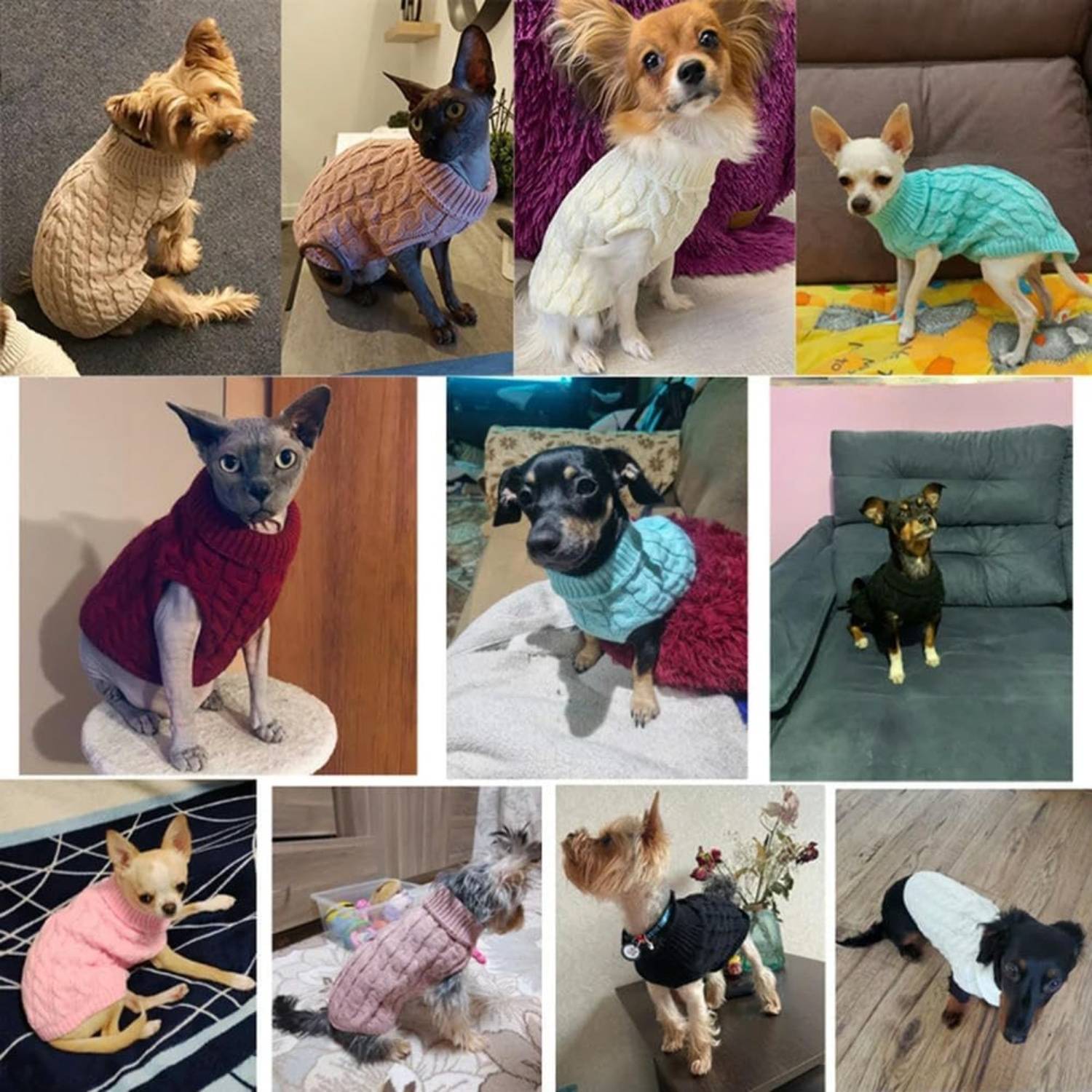 DtopbuyAge - Pull sans Manches pour Chien - Chaud et Confortable XL DtopbuyAge - Image 4
