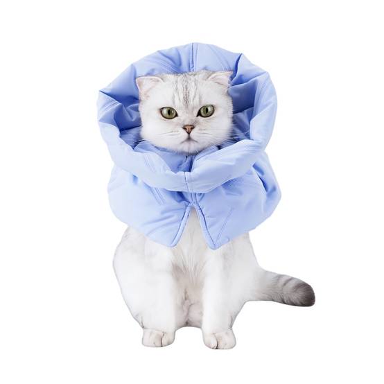 IntiMeg - Collier anti-lèchage pour chat Bleu clair S IntiMeg - Image 1