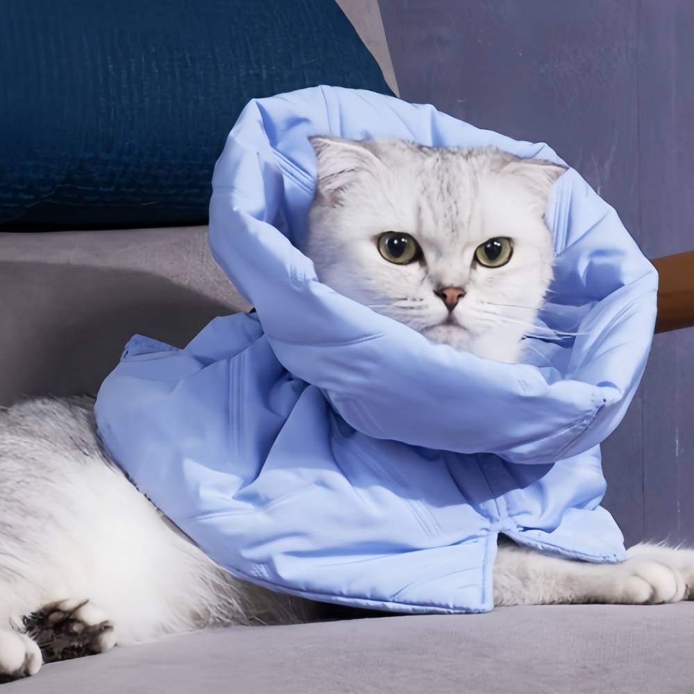 IntiMeg - Collier anti-lèchage pour chat Bleu clair S IntiMeg - Image 6