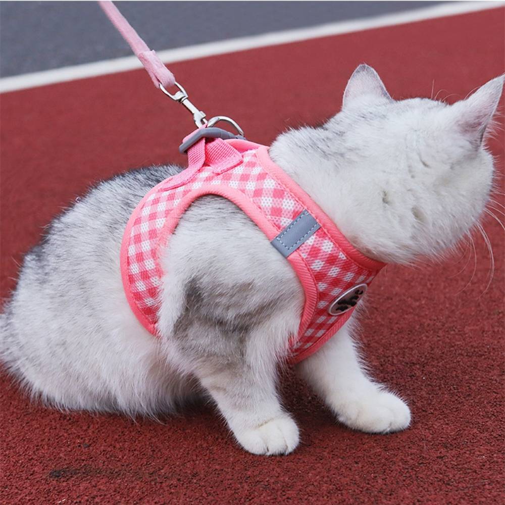 IntiMeg - Ensemble harnais et laisse pour chat xs - IntiMeg - Image 2
