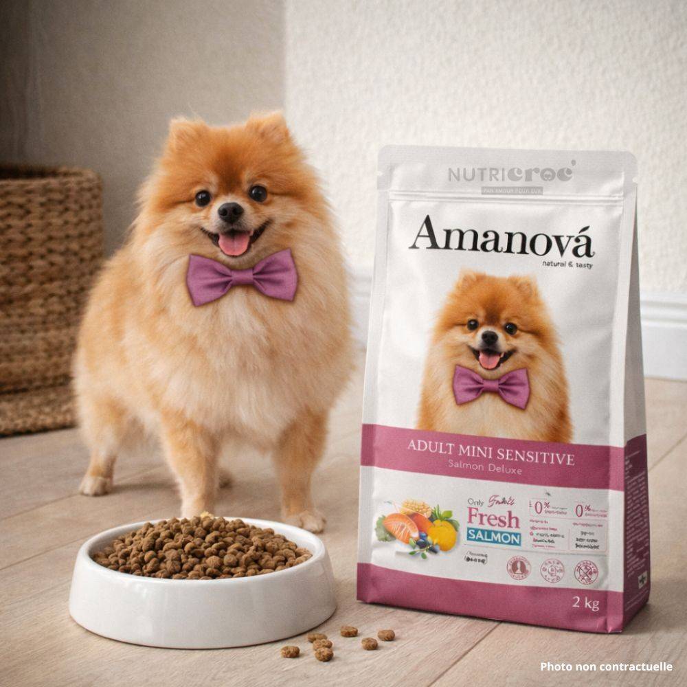 Croquettes Chien Petite Race Sans Céréales Amanova Saumon Sensible 2 kg - Image 2