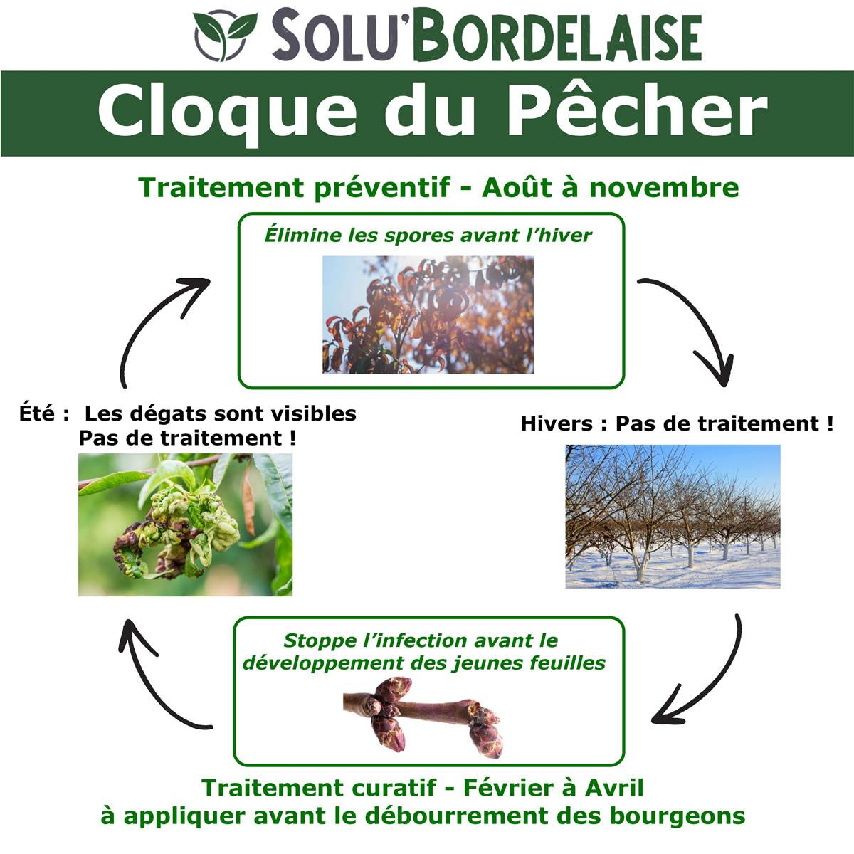 Solu'Bordelaise - Cloque du Pêcher - 1 kg de Bouillie Bordelaise Non Colorée - Polyvalent-Sulfate de Cuivre 200 g/kg - Doseur Inclus - Image 2