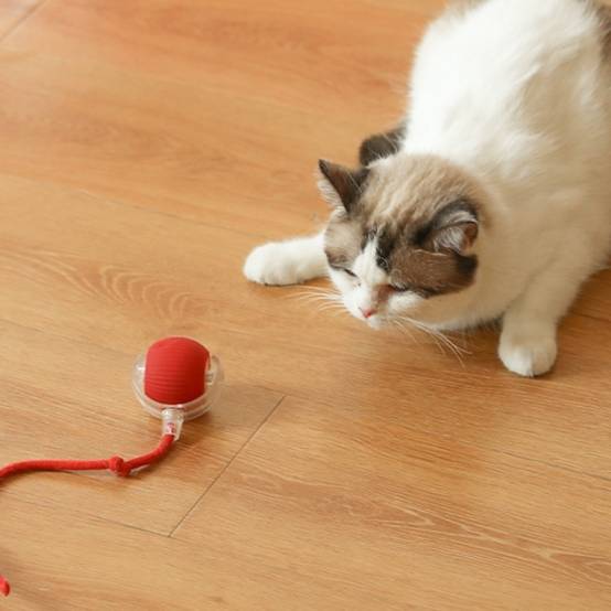 IntiMeg - Jouet pour chat Balle automatique pour chat Gris IntiMeg - Image 4