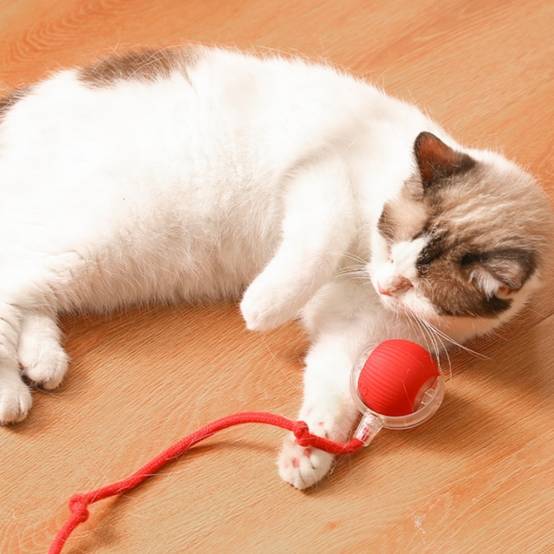 IntiMeg - Jouet pour chat Balle automatique pour chat Gris IntiMeg - Image 2
