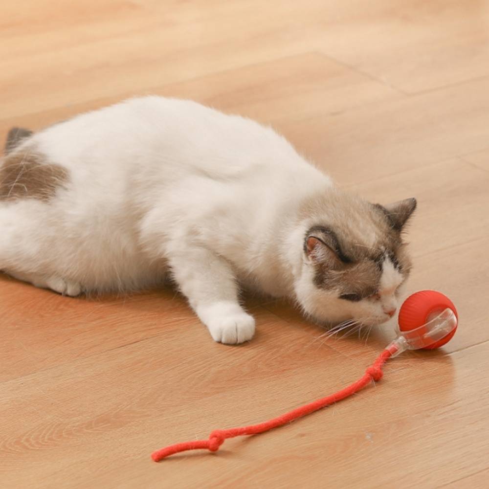 IntiMeg - Jouet pour chat Balle automatique pour chat Gris IntiMeg - Image 3