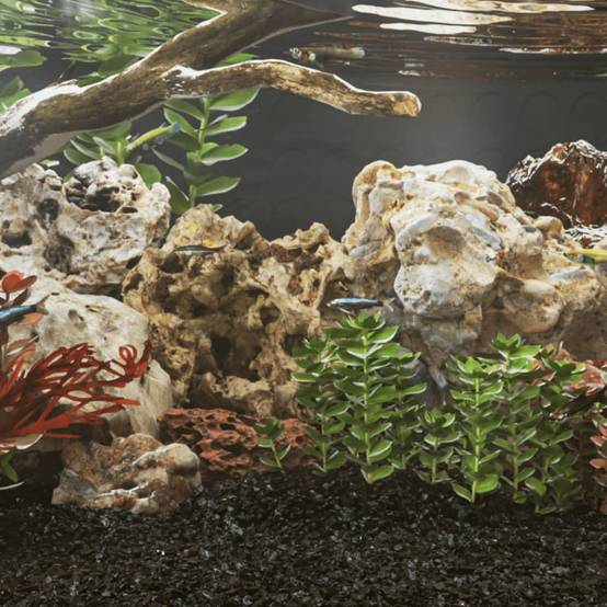 Pierres du Dragon Multicolores pour Aquarium et Terrarium 10 kg 10-30 cm - ComfortXL Outdoor Living - Image 1