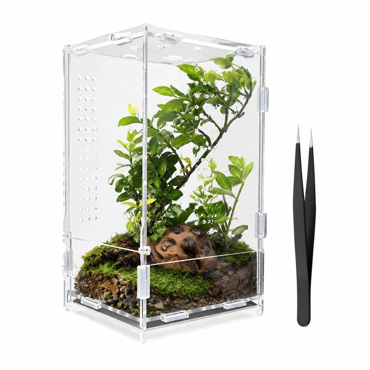 Boîte d'élevage acrylique multi-usages pour reptiles, amphibiens et tarentules