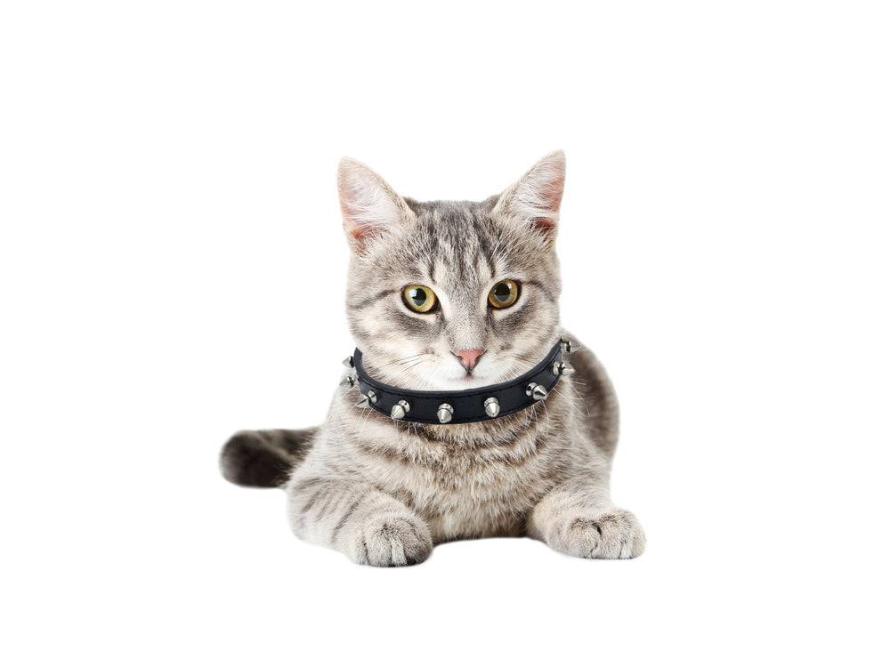 Collier chien clouté cuir eco réglable M coloris alléatoire - Image 7