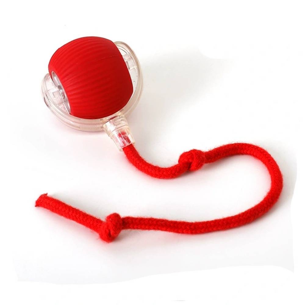 IntiMeg - Jouet pour chat Balle automatique pour chat Rouge IntiMeg