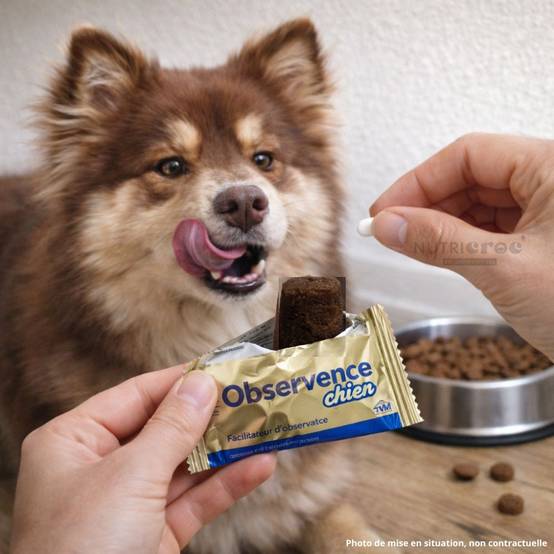 Observence Chien – Friandise pour Donner un Comprimé (6 x 25 g) 6*25 g - Image 2