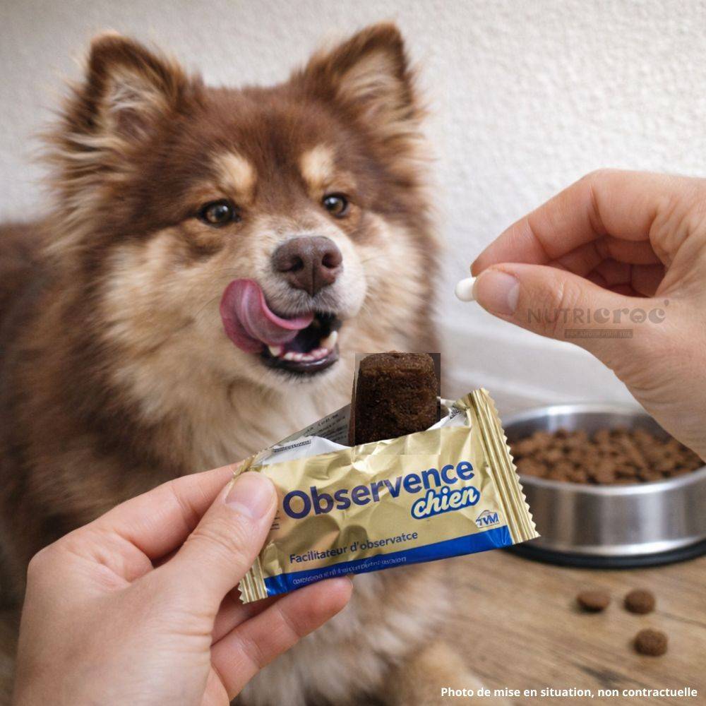 Observence Chien – Friandise pour Donner un Comprimé (6 x 25 g) 6*25 g - Image 2