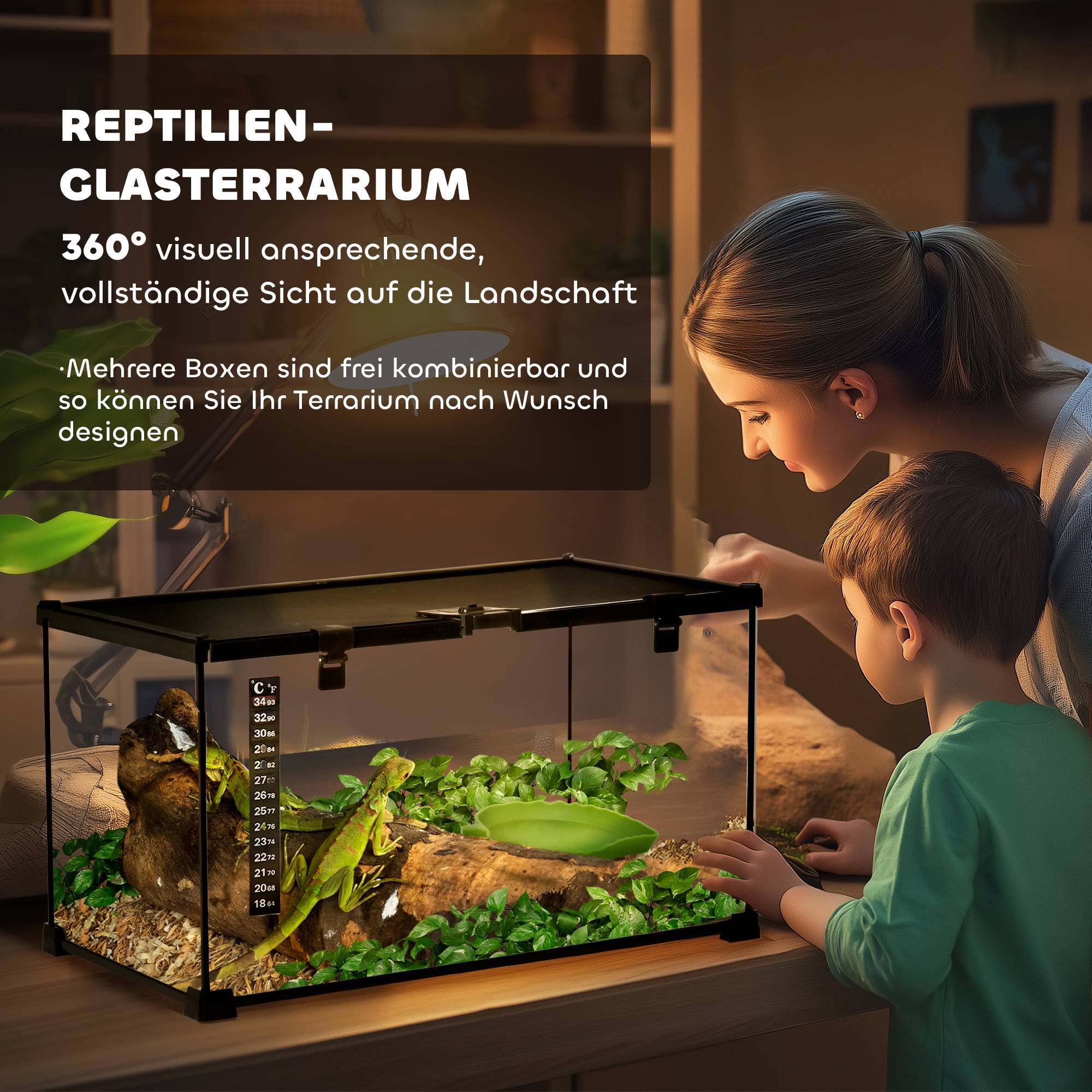 Terrarium pour reptiles, comprenant un thermomètre à bandelette et des trappes d'alimentation, 50 cm x 30 cm x 25 cm, verre et métal, noir - Image 6