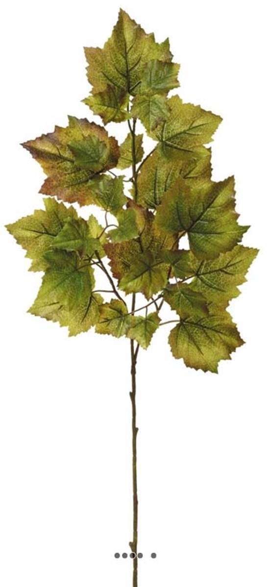 Artificielles - Branche de feuilles de vigne artificielle H 70 cm Vert - dimhaut: H 70 cm - couleur: Vert - Imagen 1