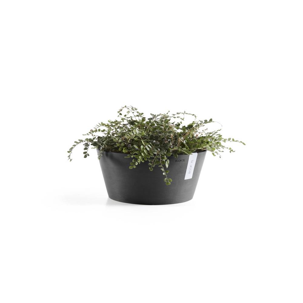 Ecopots - Pot Rond Frankfurt 40 Gris Foncé - Ø 41 x H. 18 cm - 16,4 L ECOPOTS - Imagen 2