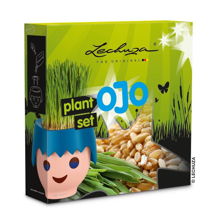 Lechuza - OJO - Set de plantation  - 6 × 24 × 24 cm Lechuza