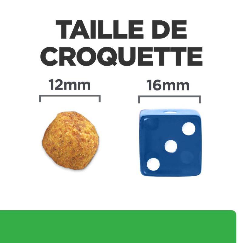 CROQUETTES CHIEN ADULT PRESCRIPTION DIETS R/D WEIGHT LOSS - HILL'S 10 kg - Image 5
