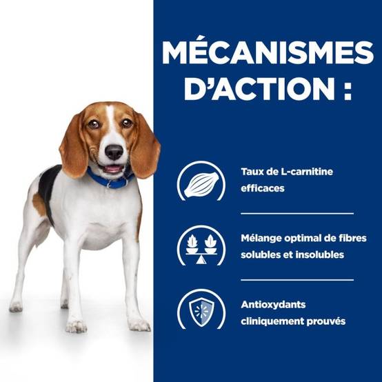 CROQUETTES CHIEN ADULT PRESCRIPTION DIETS R/D WEIGHT LOSS - HILL'S 10 kg - Image 4