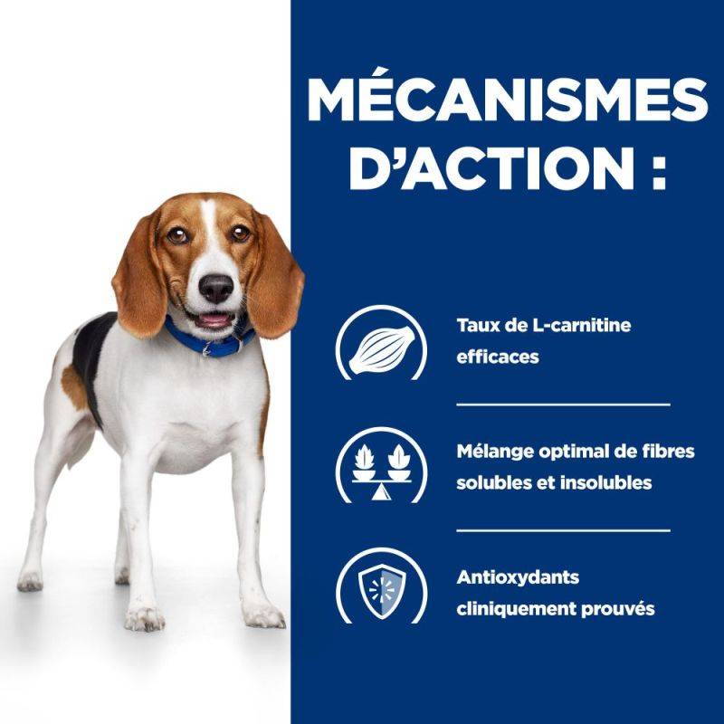 CROQUETTES CHIEN ADULT PRESCRIPTION DIETS R/D WEIGHT LOSS - HILL'S 10 kg - Image 4