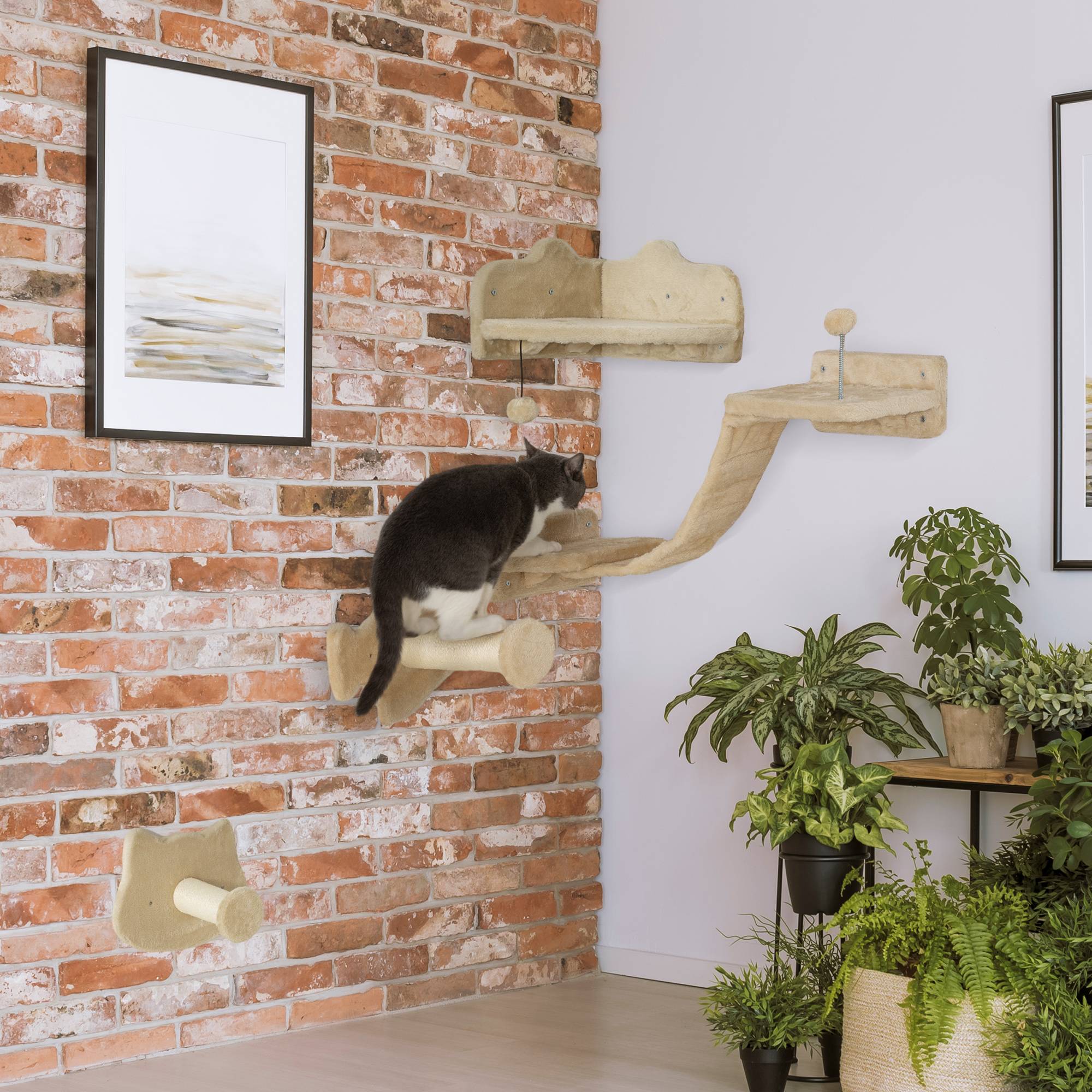 Parcours Mural pour Chat 4 Pièces avec Griffoirs Sisal Étagères et Plateformes Beige - ComfortXL Outdoor Living - Image 4