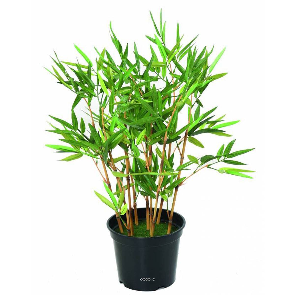 Artificielles - Bambou Artificiel finition mousse verte H 60 cm Vert - dimhaut: H 60 cm - couleur: Vert