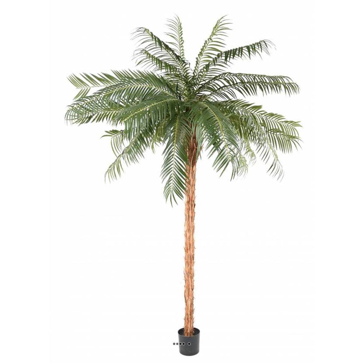 Artificielles - Palmier Phoenix artificiel finition Luxe H 210 cm très belle tête - dimhaut: H 210 cm - couleur: Vert