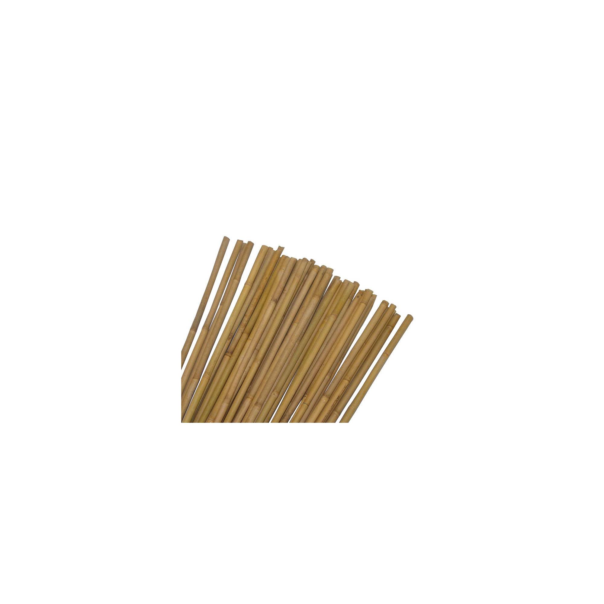 Sans Marque - Tuteur pour plantes et légumes - En bambou - Hauteur : 90 cm - Imagen 1