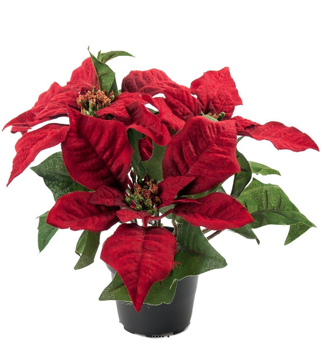 Artificielles - Poinsettia artificiel en Pot H 26 cm très dense 5 fleurs Rouge - couleur: Rouge - Imagen 1