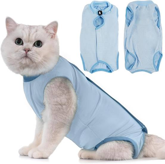 Combinaison de Récupération pour Chat Anti Léchage Bleu M