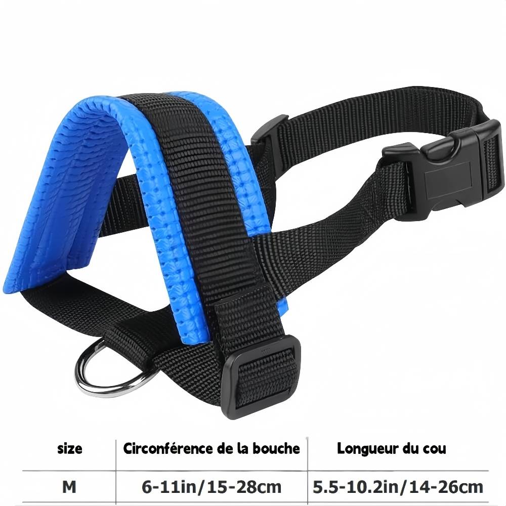 IntiMeg - Muselière bleue pour chien - IntiMeg - Image 6