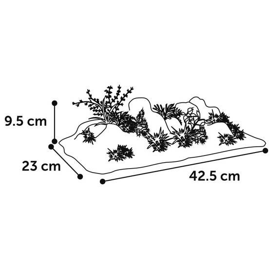 Décoration roche et plante, 42,5 x 23 x 9,5 cm, aquarium, - Image 4