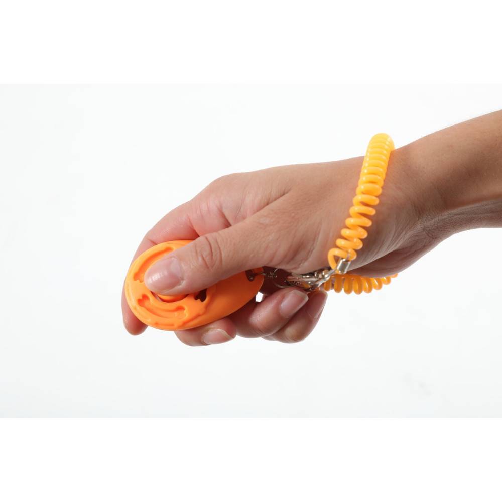 Zolux - Clicker de dressage avec dragonne pour chien. - Image 2