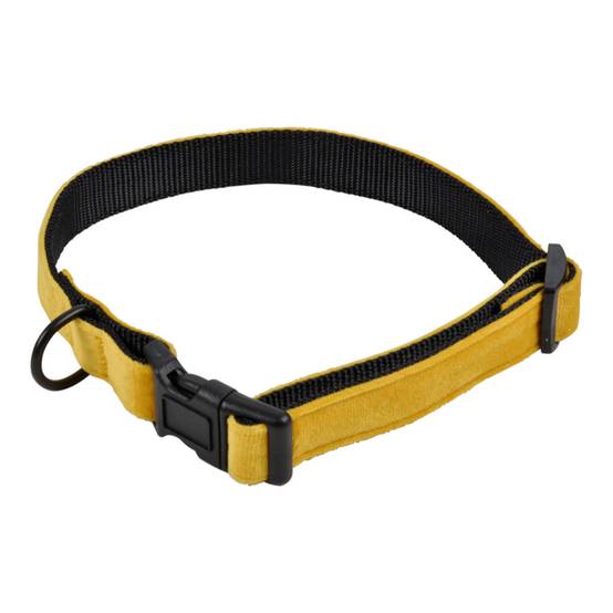 Collier pour Chien "Cosy Golden" 55cm Jaune - Image 1