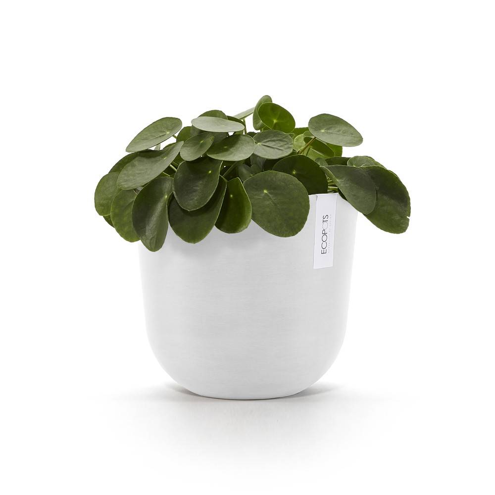 Ecopots - Pot Rond Oslo 25 Blanc Pur - Ø 25 x H. 21,8 cm - 7,7 L ECOPOTS - Imagen 3