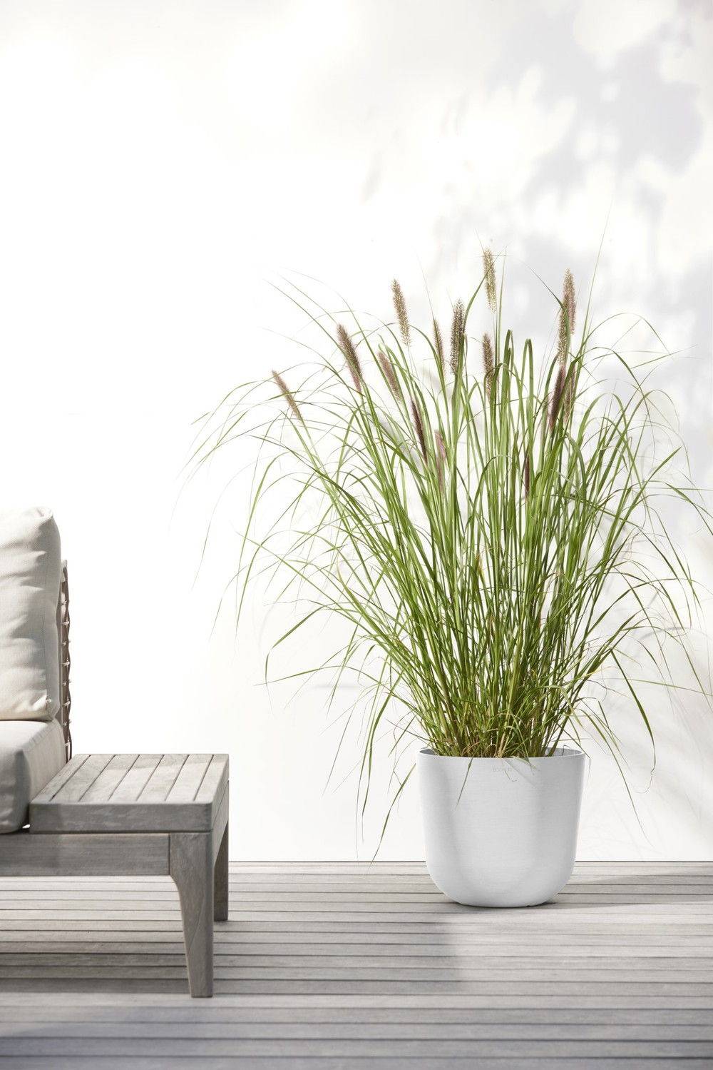 Ecopots - Pot Rond Oslo 25 Blanc Pur - Ø 25 x H. 21,8 cm - 7,7 L ECOPOTS - Imagen 4