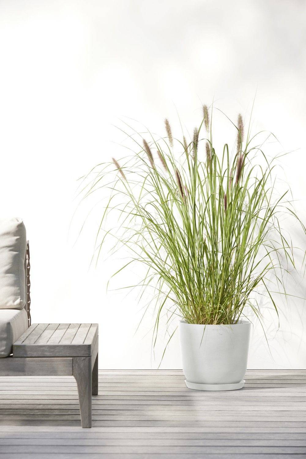 Ecopots - Pot Rond Oslo 25 Blanc Pur - Ø 25 x H. 21,8 cm - 7,7 L ECOPOTS - Imagen 5