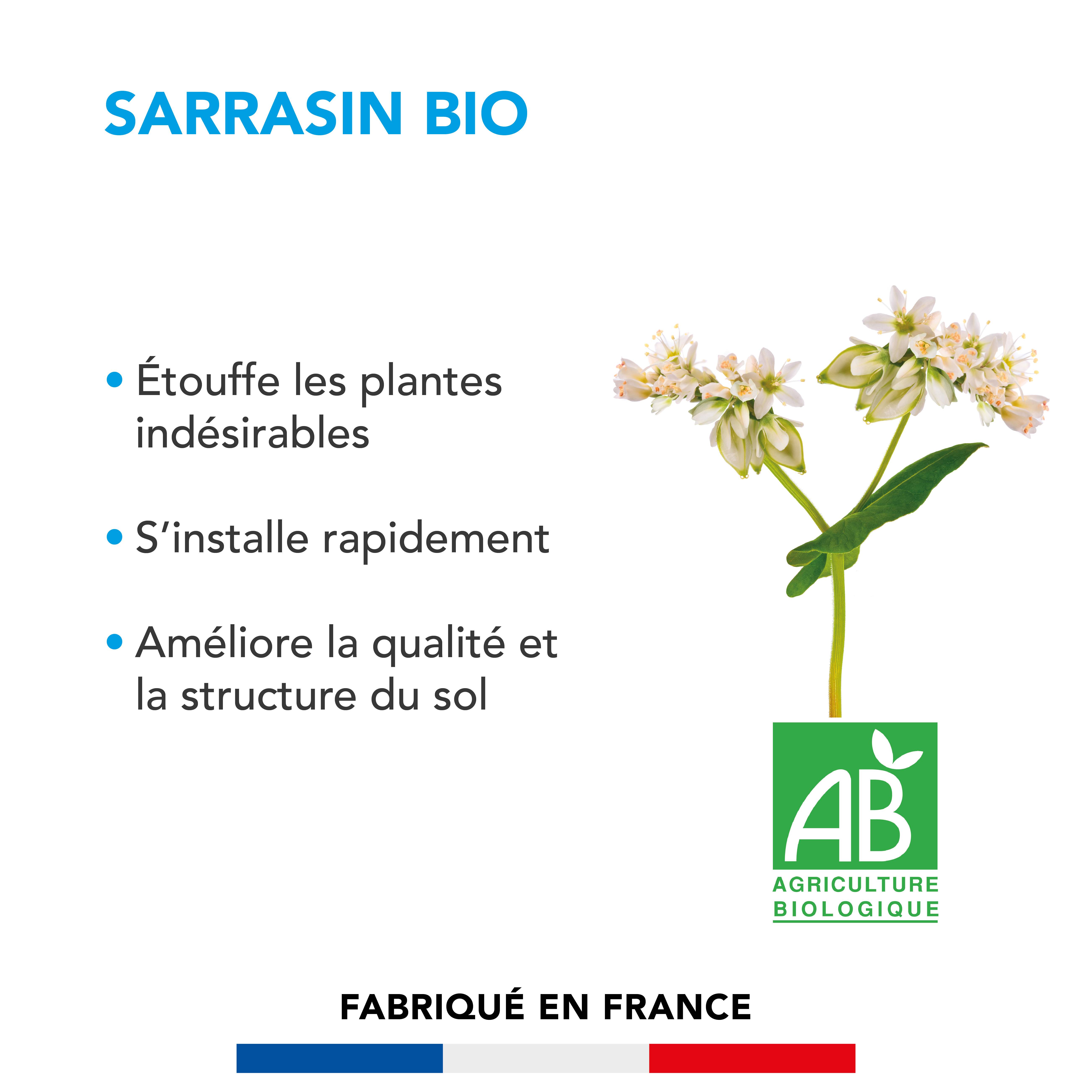 Sarrasin - Étouffe les Plantes Indésirables - S'Installe Rapidement - Améliore la Qualité et la Structure du Sol - 500G - BARENBRUG - Image 2