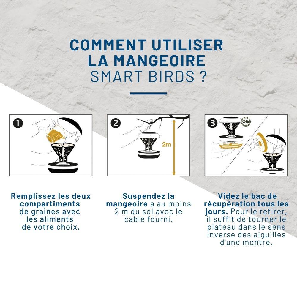 Mangeoire anti-nuisibles SMART BIRDS pour oiseaux verte SWISSINNO - Imagen 5