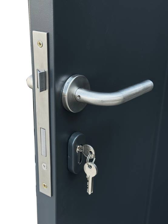 ABRI METAL 2,50x2,00 TECHPROTECT® 4,95M² GRIS - Image 5