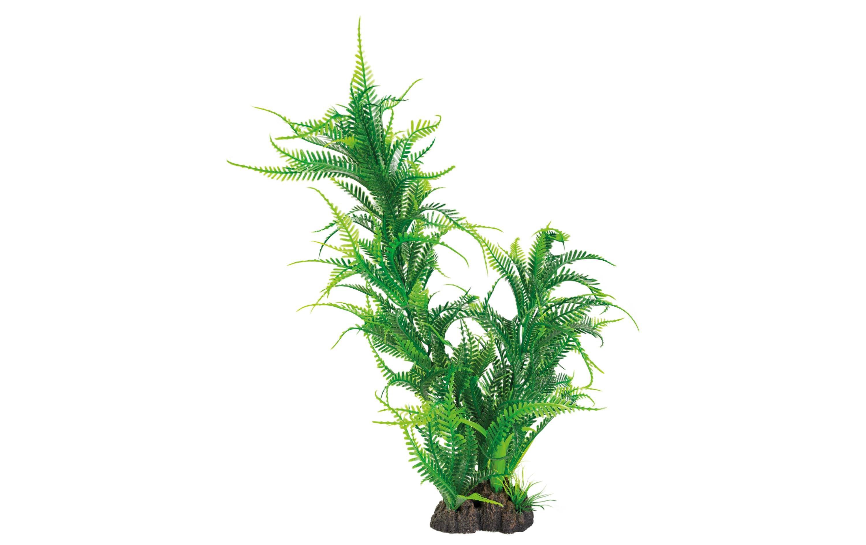 Superfish - Plante artificielle Microsorum plastique vert 40 cm - SUPERFISH