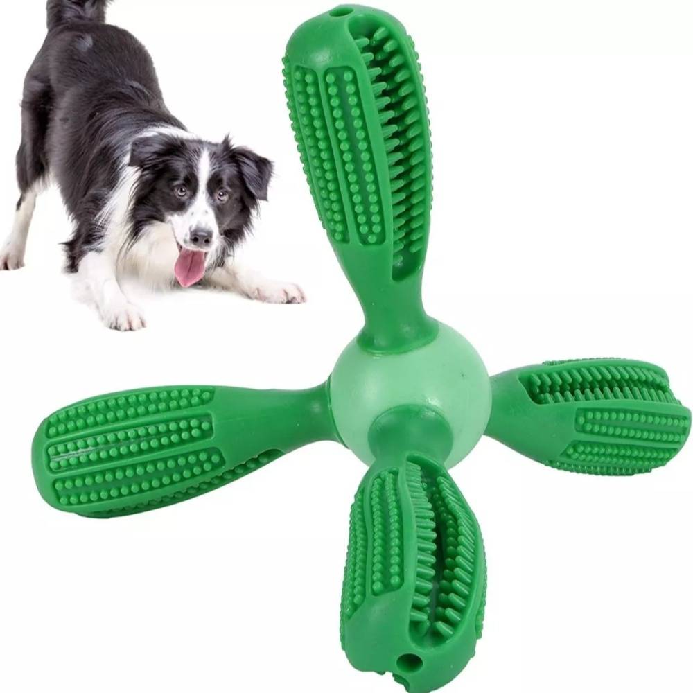 Jouet pour soin dentaire des chiens DtopbuyAge - Image 1