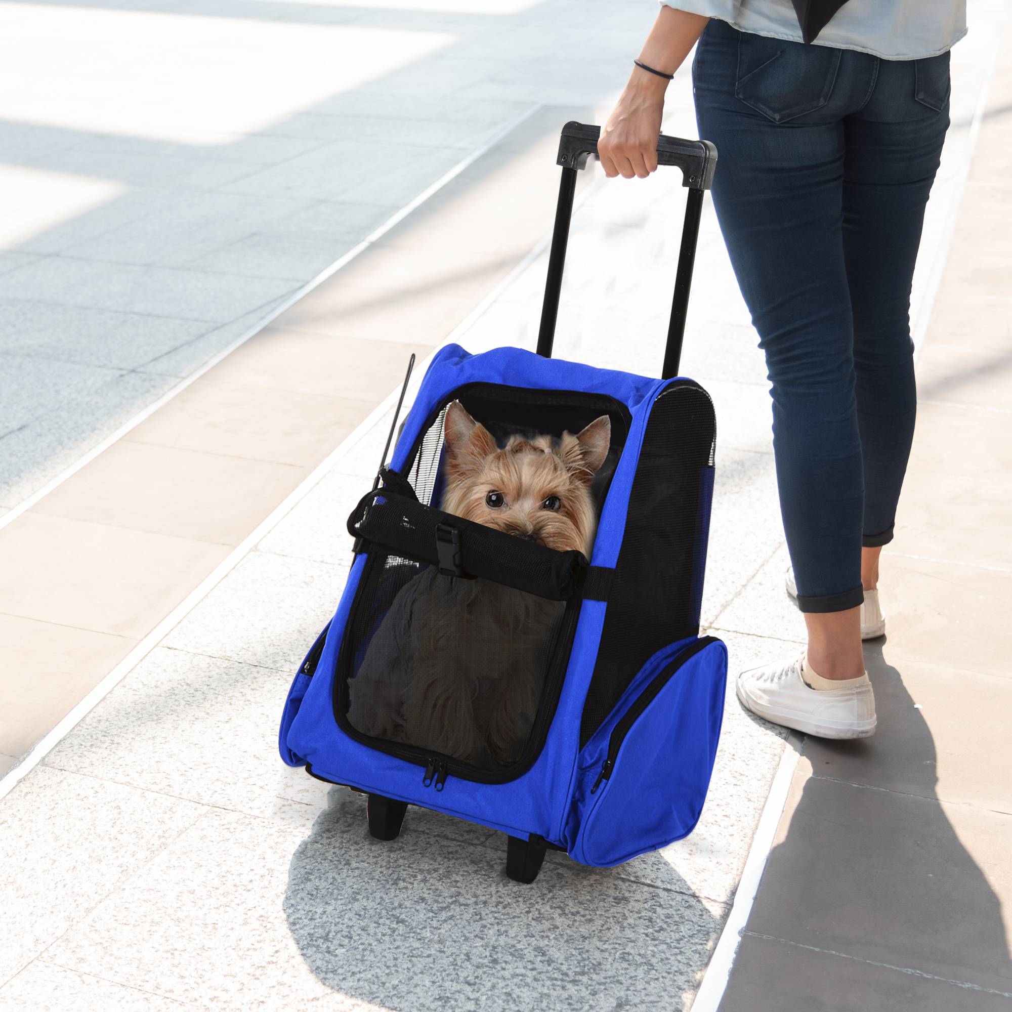 Sac à dos chariot 2 en 1 métal et Oxford pour chat et chien transport facile bleu - ComfortXL Outdoor Living - Image 3