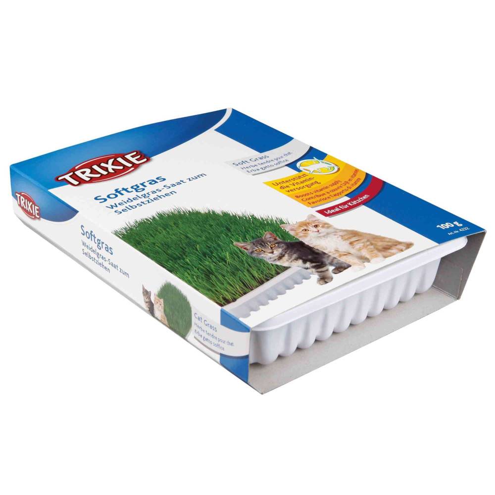 Herbe à chat tendre 100 g en barquette - Imagen 2